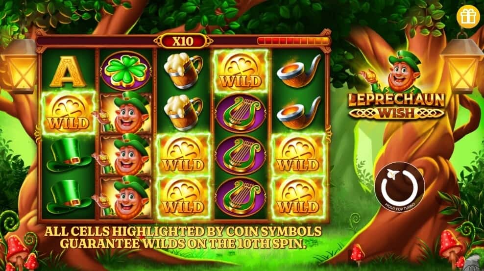 leprechaun wish